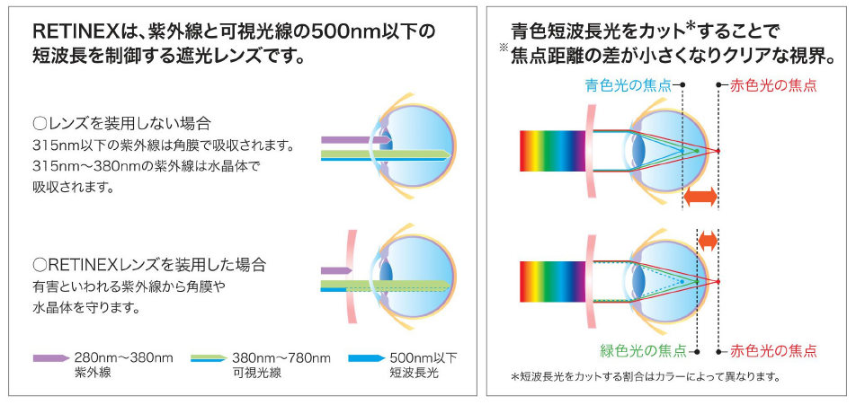 遮光レンズの仕組み